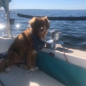 Meet your Posher, Sara